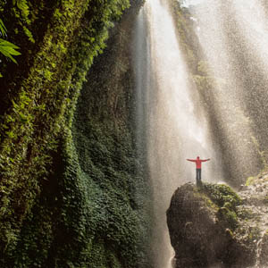 Traveler standing on the rock in the tropical rainforest at Madakaripura Waterfall , east java , indonesia trees_500